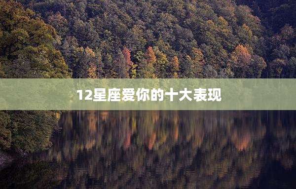 12星座爱你的十大表现