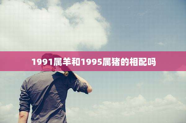1991属羊和1995属猪的相配吗