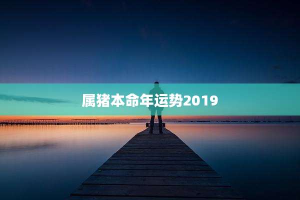属猪本命年运势2019