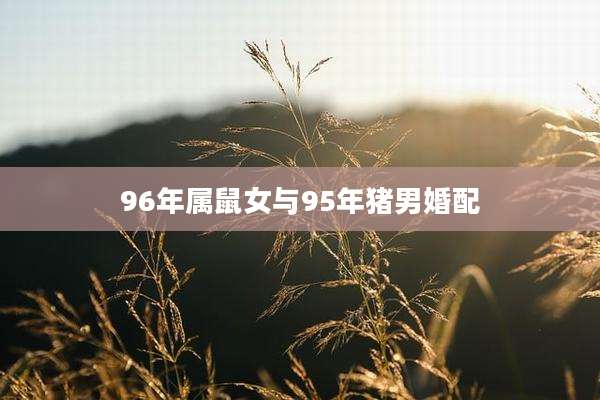 96年属鼠女与95年猪男婚配