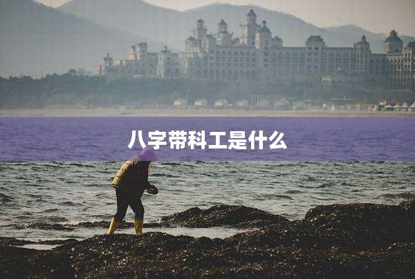 八字带科工是什么