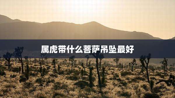 属虎带什么菩萨吊坠最好