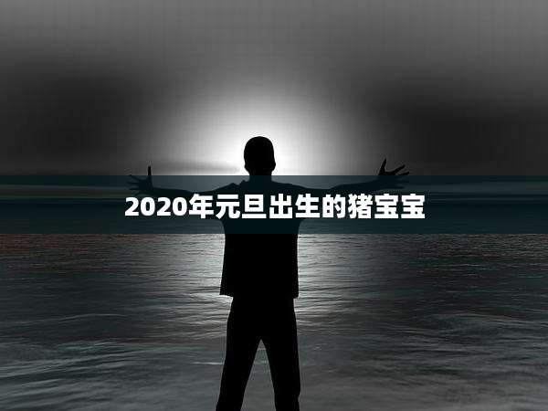 2020年元旦出生的猪宝宝
