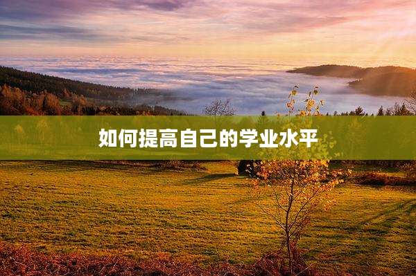 如何提高自己的学业水平