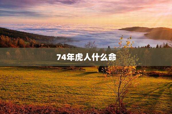 74年虎人什么命