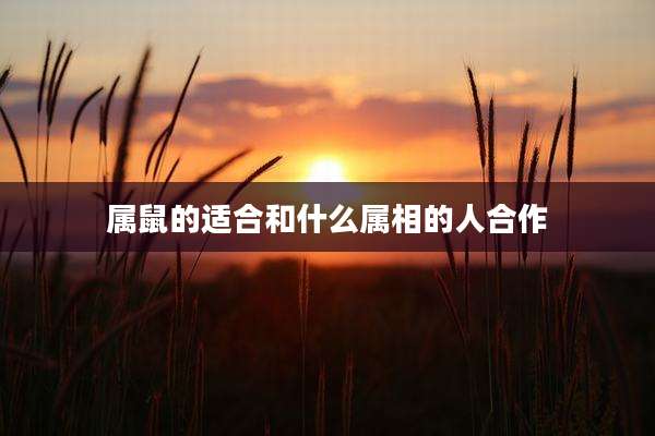 属鼠的适合和什么属相的人合作