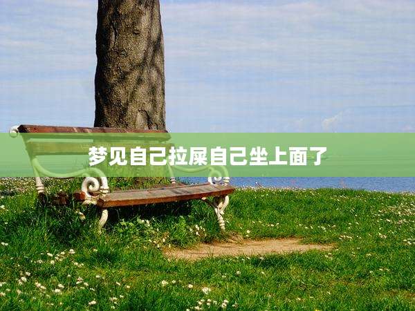 梦见自己拉屎自己坐上面了
