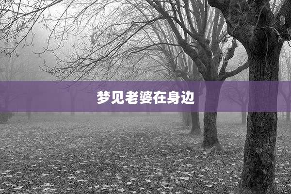 梦见老婆在身边