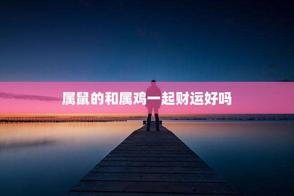 属鼠的和属鸡一起财运好吗