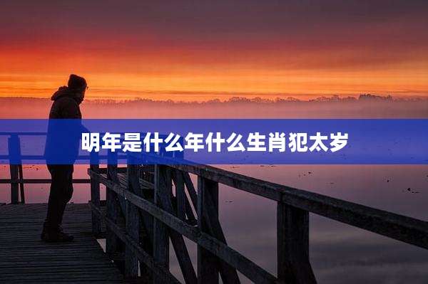 明年是什么年什么生肖犯太岁