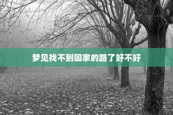 梦见找不到回家的路了好不好
