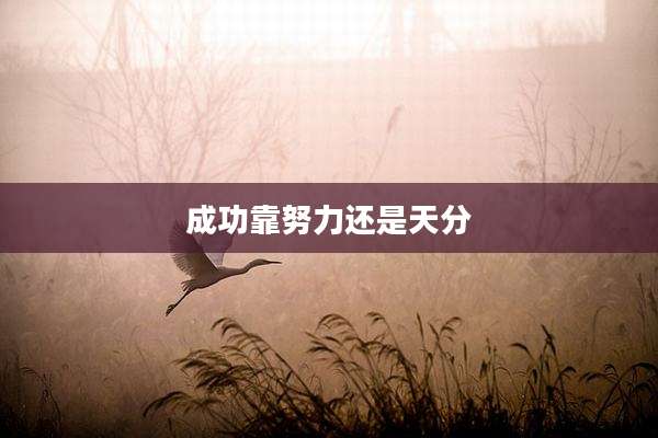 成功靠努力还是天分