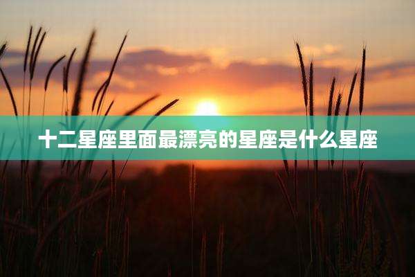 十二星座里面最漂亮的星座是什么星座