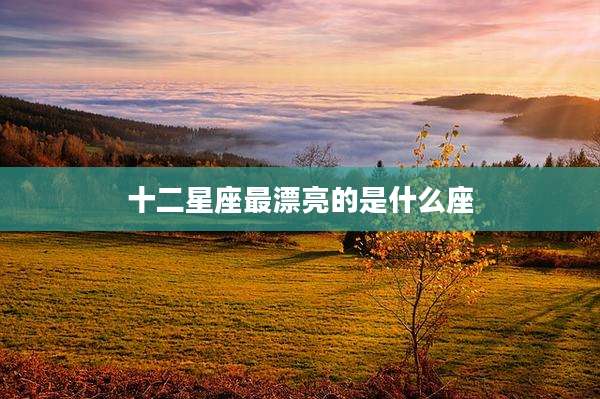 十二星座最漂亮的是什么座