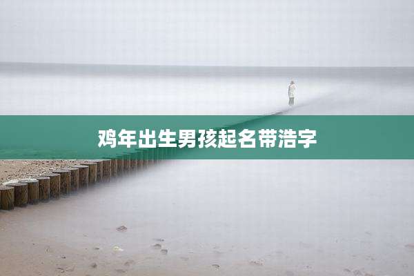 鸡年出生男孩起名带浩字
