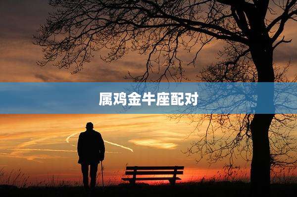 属鸡金牛座配对