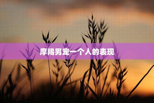 摩羯男宠一个人的表现