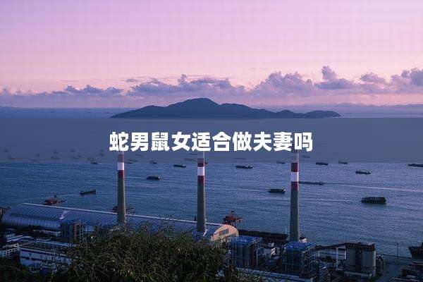 蛇男鼠女适合做夫妻吗