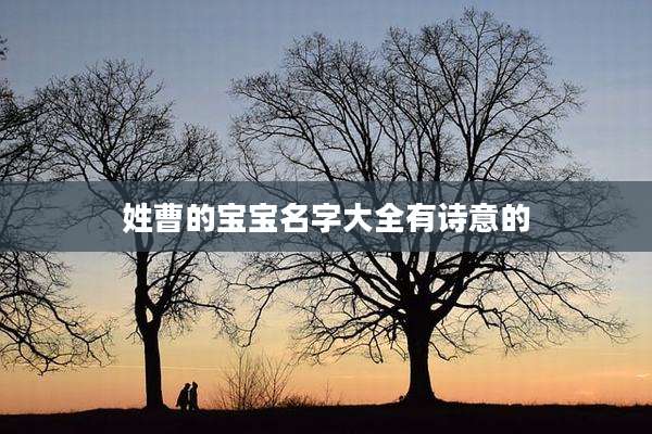 姓曹的宝宝名字大全有诗意的