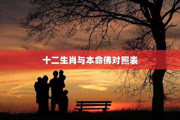 十二生肖与本命佛对照表