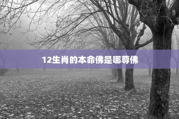 12生肖的本命佛是哪尊佛