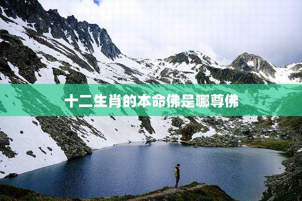 十二生肖的本命佛是哪尊佛