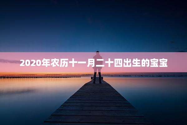 2020年农历十一月二十四出生的宝宝