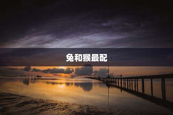 兔和猴最配