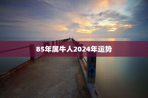 85年属牛人2024年运势
