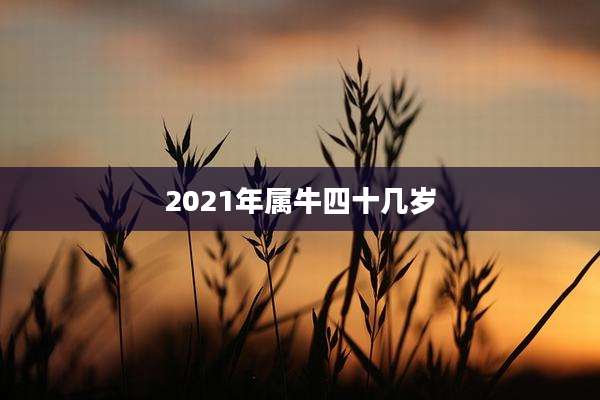 2021年属牛四十几岁
