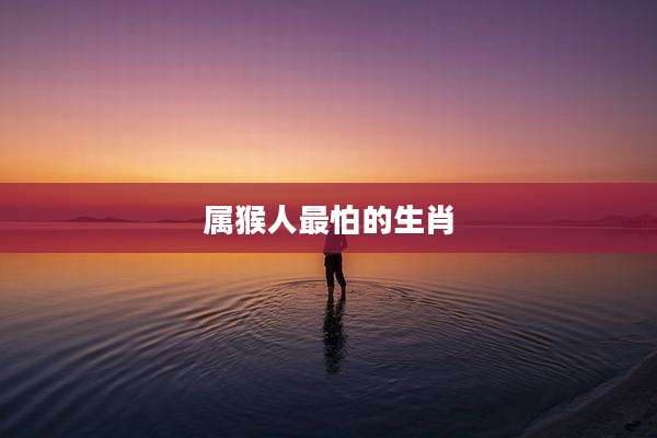 属猴人最怕的生肖