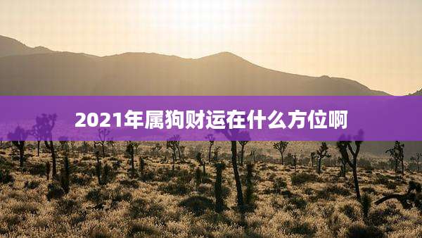 2021年属狗财运在什么方位啊