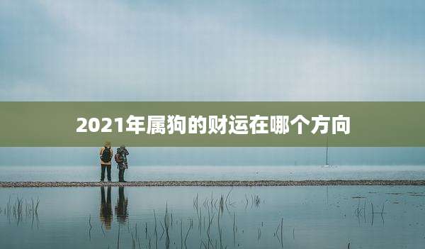 2021年属狗的财运在哪个方向
