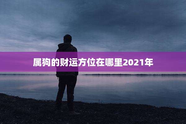 属狗的财运方位在哪里2021年