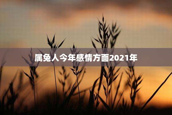 属兔人今年感情方面2021年