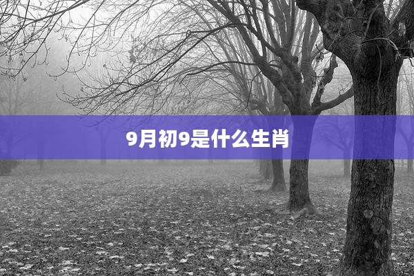 9月初9是什么生肖