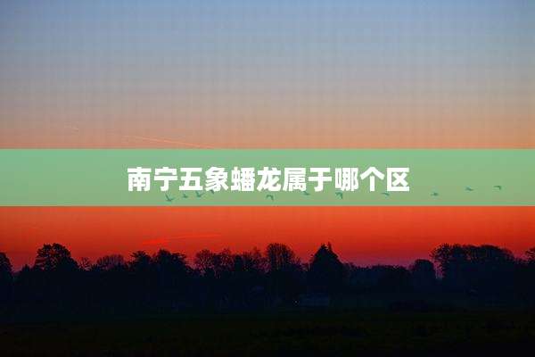 南宁五象蟠龙属于哪个区