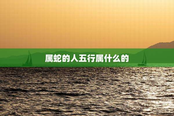 属蛇的人五行属什么的