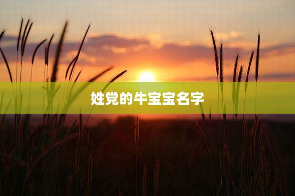 姓党的牛宝宝名字