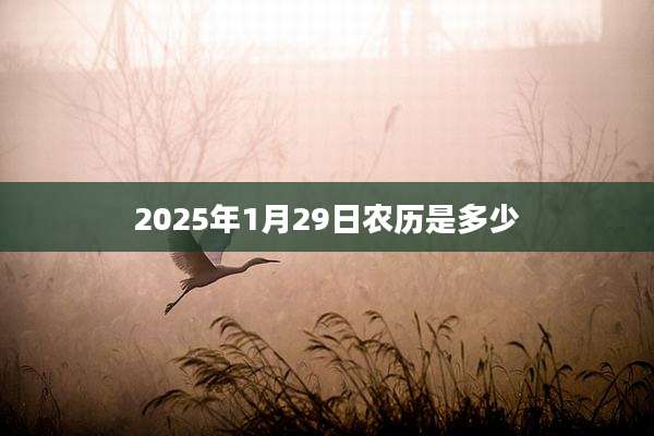 2025年1月29日农历是多少