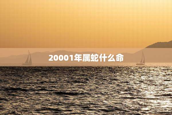 20001年属蛇什么命
