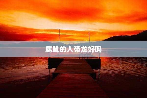 属鼠的人带龙好吗