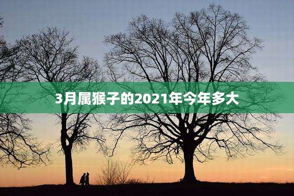 3月属猴子的2021年今年多大