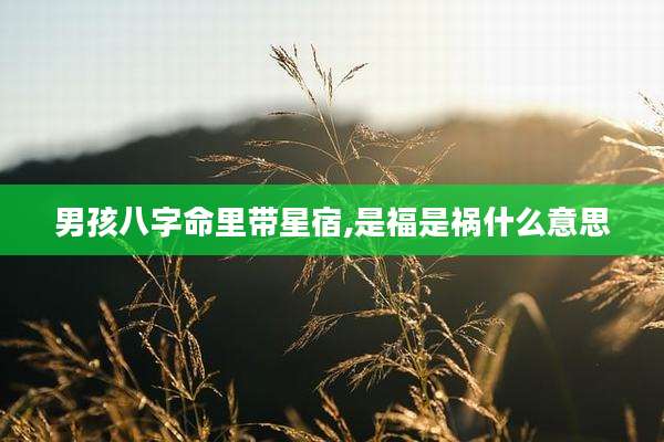 男孩八字命里带星宿,是福是祸什么意思
