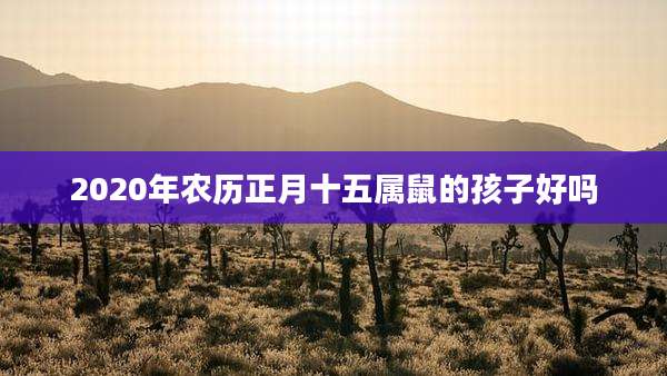 2020年农历正月十五属鼠的孩子好吗