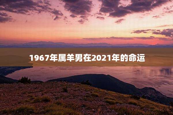 1967年属羊男在2021年的命运