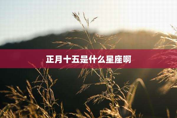 正月十五是什么星座啊