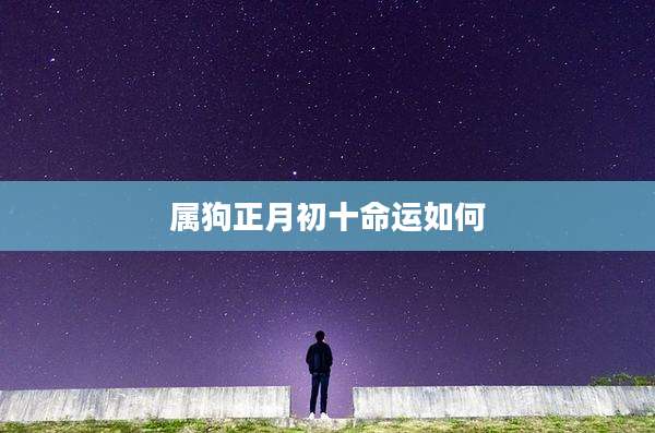 属狗正月初十命运如何