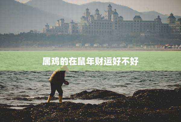 属鸡的在鼠年财运好不好
