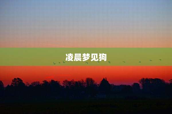凌晨梦见狗